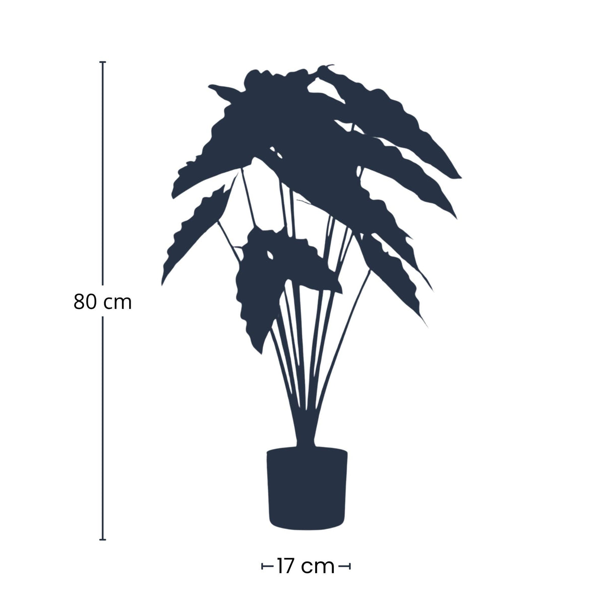 Alocasia 80cm - Kunstplant