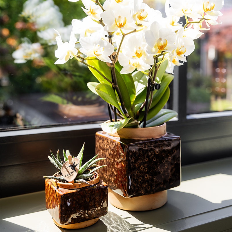 Kolibri Home | Pot décoratif Classy Cube - Ø6cm