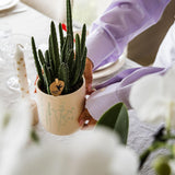 Kolibri Home | Floral bloempot - Light Blue - 9cm