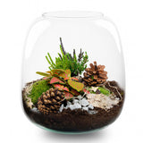 Berry Kerstmis terrarium - Planten terrarium  - DIY kit Christmas - Ø 19 cm ↑ 20 cm