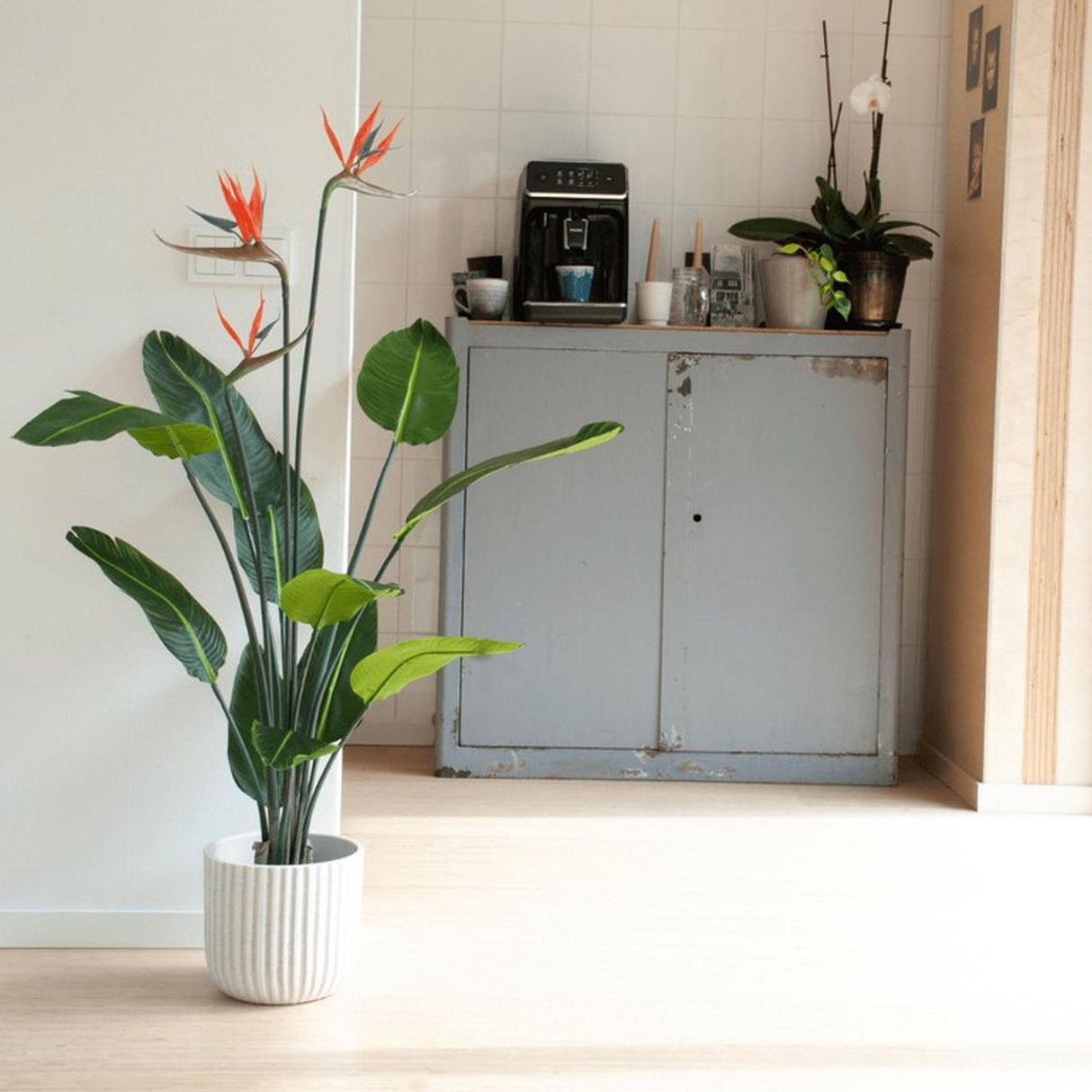 Strelitzia avec fleurs - 120cm - En pot noir - Plante artificielle