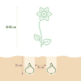 Green boutiQ - Bloembollen - Bulb Garden Pink mix - Diversen soorten - Kleur Roze - 125 stuks - Gift Verpakking