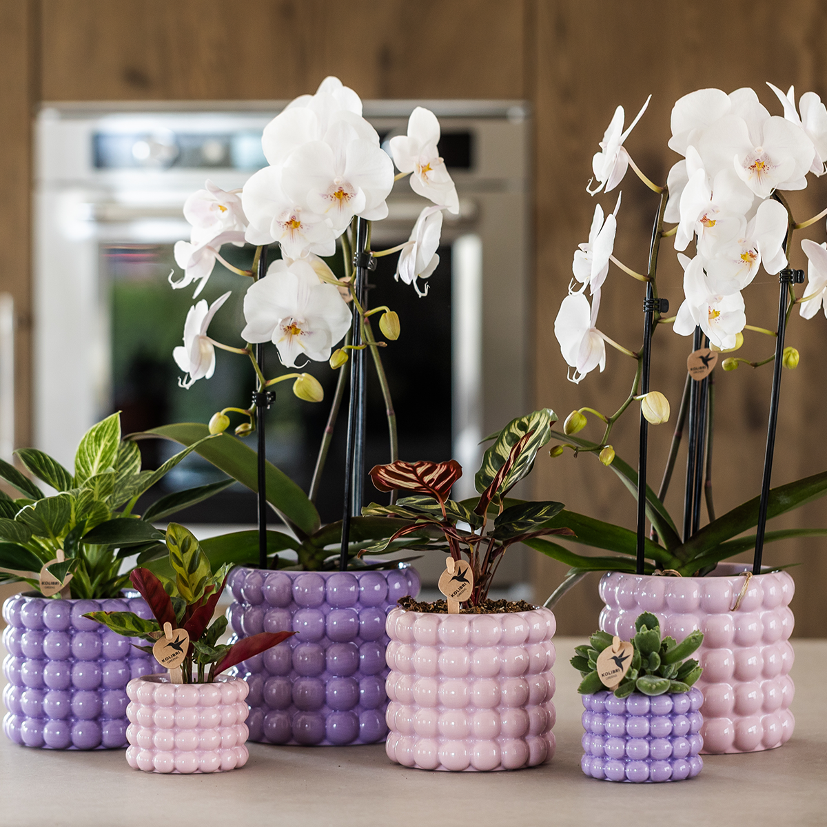 Kolibri Home | Poppy sierpot - Purple - Ø9cm