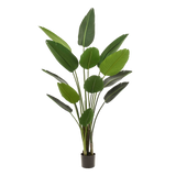 Kunstplant - Strelitzia Nicolai - Paradijsvogelbloem - 190 cm