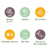 Green boutiQ - Haagplanten - Buxus sempervirens -  blad groen - 8 planten - 1 strekkende meter - groenblijvend - pot 9cm hoogte 20-25cm