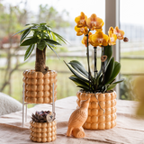 Kolibri Home | Pot décoratif Poppy - Pêche - Ø6cm