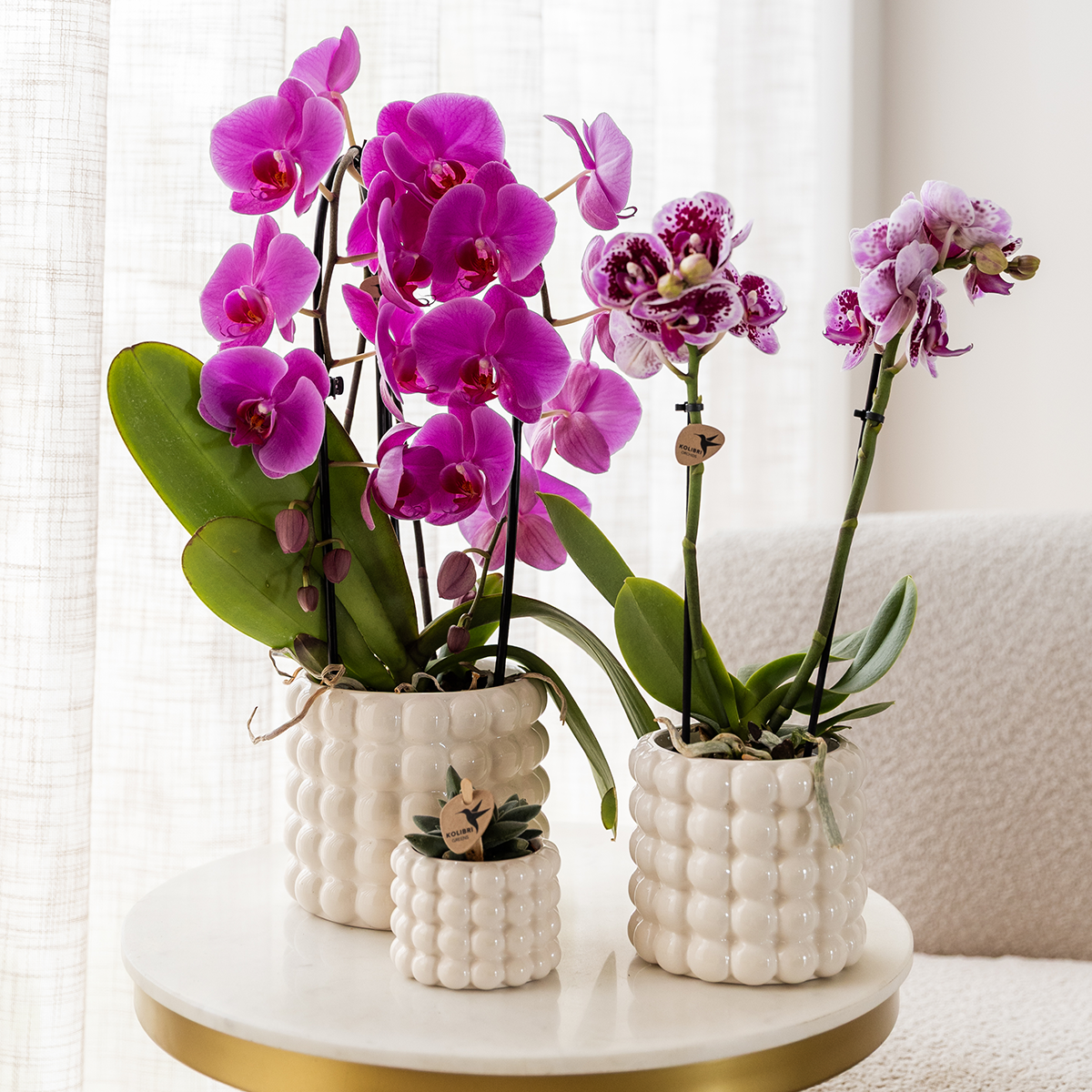 Kolibri Home | Pot décoratif Poppy - Blanc - Ø9cm