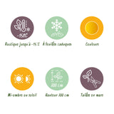 Green boutiQ - Terrasplant - Japanse Esdoorn - Acer palmatum Summergold - Geel - 2 Planten - Bladverliezend - Pot 19cm Hoogte 70cm