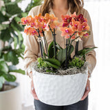 Kolibri Orchids | oranje plantenset in Honey dish incl. waterreservoir | drie oranje orchideeën Bolzano 9cm en drie groene planten | Jungle Bouquet oranje met zelfvoorzienend waterreservoir