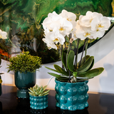 Kolibri Home | Pot décoratif Diabolo | Ø9cm - Vert