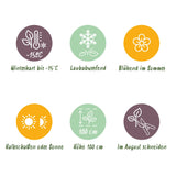 Green boutiQ - Terrasplant - Hortensia - Hydrangea Forever & Ever - Rood - 7-12 Bloemen - 2 Planten - Pot 23cm Hoogte 55cm