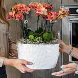 Kolibri Orchids | oranje plantenset in Honey dish incl. waterreservoir | drie oranje orchideeën Bolzano 9cm en drie groene planten | Jungle Bouquet oranje met zelfvoorzienend waterreservoir