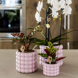 Kolibri Home | Pot décoratif Poppy - Rose - Ø6cm