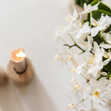 Kolibri Company | Set  planten + sierpotten voor tafelaankleding diner - potmaat Ø9cm & Ø6cm | bloeiende kamerplanten - vers van de kweker