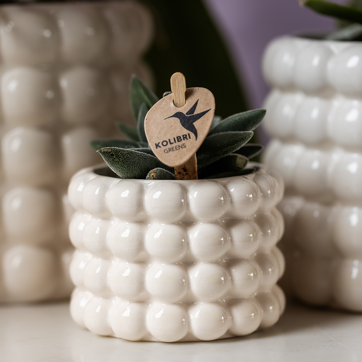 Kolibri Home | Pot décoratif Poppy - Blanc - Ø6cm