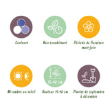 Green boutiQ - Bloembollen - Bulb Garden Blue mix - Diversen soorten - Kleur Blauw - 125 stuks - Gift Verpakking