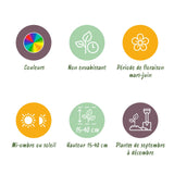 Green boutiQ - Bloembollen - Bulbs From Holland - Diversen Kleuren - 125 stuks - Gift Verpakking