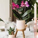 Kolibri Home | Floral bloempot - Lavendel - 9cm