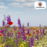 Mélange de Graines de Fleurs Sauvages – 100 grammes | Bon pour les Abeilles, Papillons & la Biodiversité | ± 30–50 m²