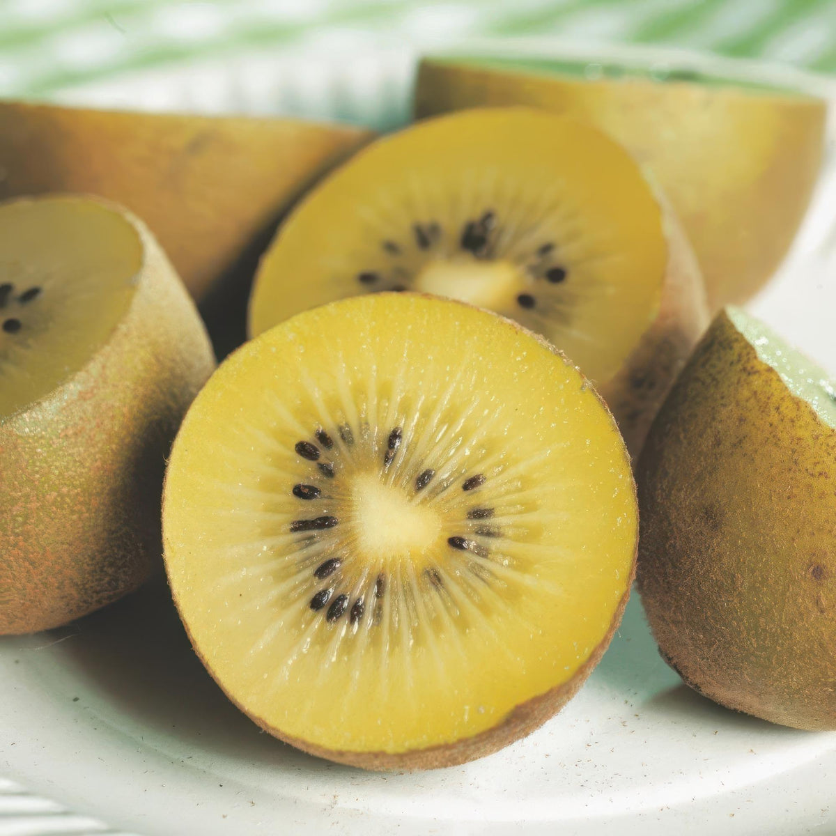 Fruitplant - Actinidia Weiki & Golden Kiwi - Kiwiplant - 1 Mannelijke - 3 Vrouwelijke - Planten - Geel - Pot 15cm - Hoogte 50cm
