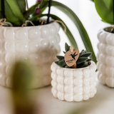 Kolibri Home | Pot décoratif Poppy - Blanc - Ø9cm