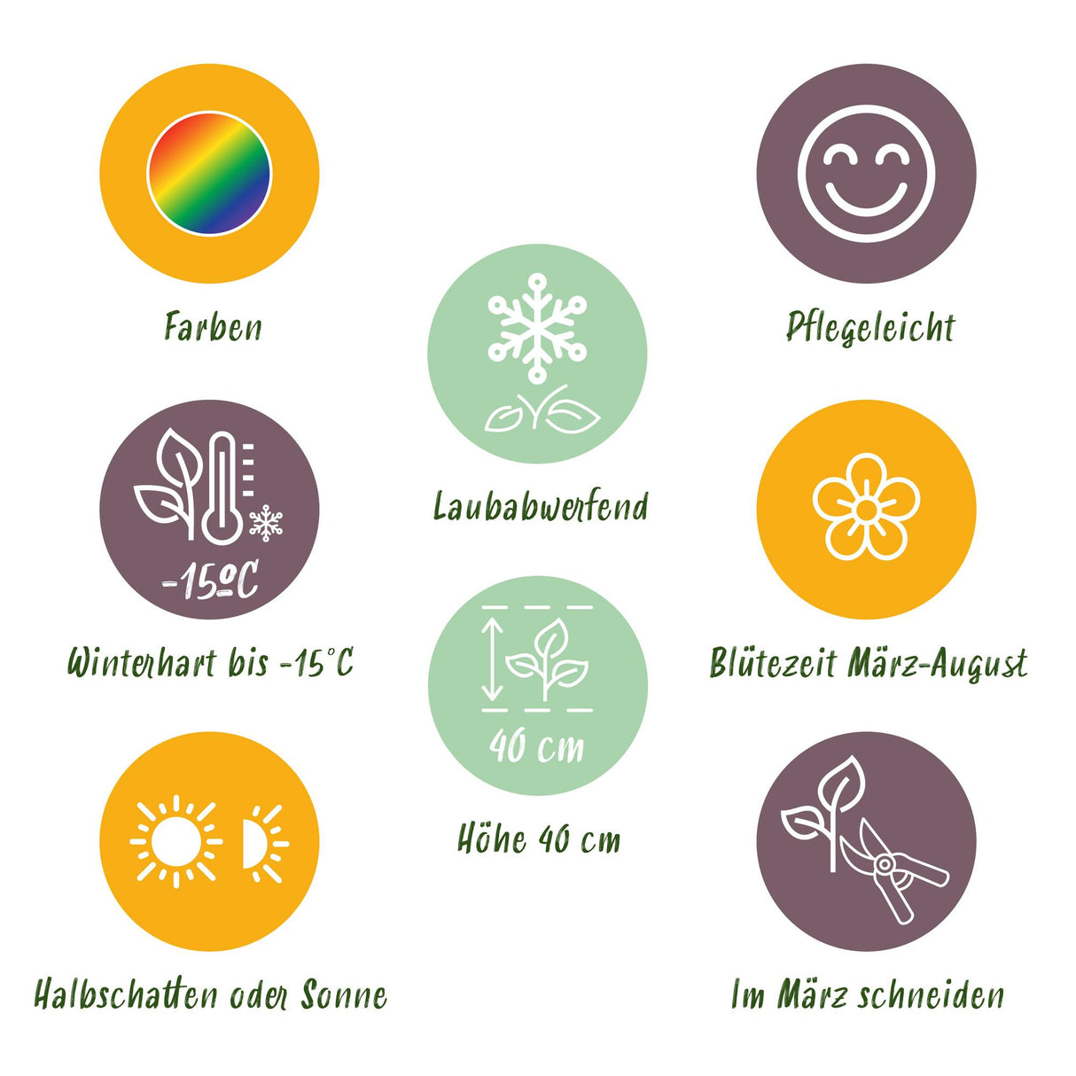Borderpakket - Bodembedekkend - 8 Vaste planten - 1 m2 - Diversen kleuren - Weinig Onderhoud - Pot 11cm