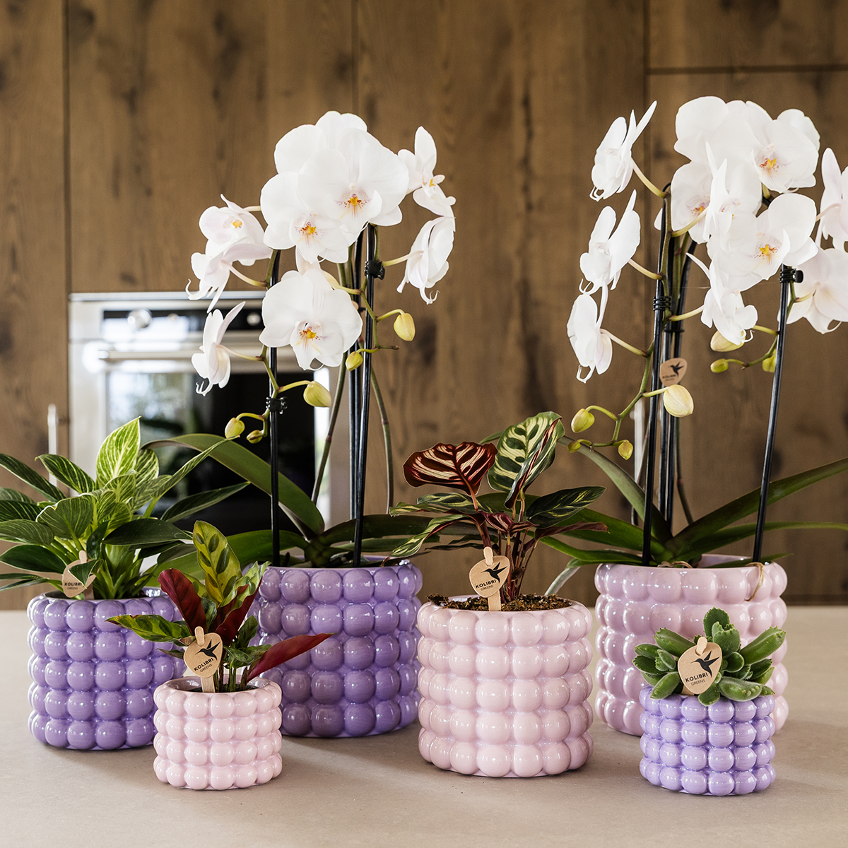Kolibri Home | Pot décoratif Poppy - Violet - Ø6cm
