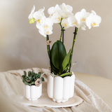 Kolibri Home | Retro Zierpot - Weiß - Ø9cm