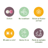 Green boutiQ - Bloembollen - Tulp Double Sensation - Kleur Wit en Roze - 12 stuks - Bolmaat 11/12 - XXL Pack