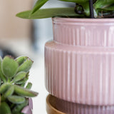 Kolibri Orchids | Gift Set Allure Paars - Roze-Paarse Phalaenopsis Orchidee Mineral Frederikstad & Succulent