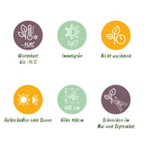 Green boutiQ - Haagplanten - Ligustrum ovalifolium - blad groen - 8 planten - 1 strekkende meter - groenblijvend - pot 9cm hoogte 35-40cm