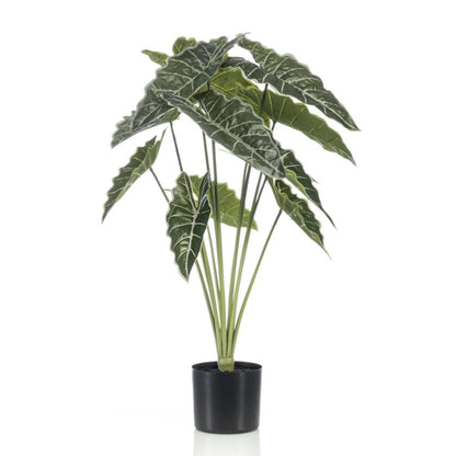 Alocasia 80cm - Kunstplant