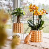 Kolibri Home | Pot décoratif Poppy - Pêche - Ø6cm