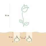 Green boutiQ - Bloembollen - Tulp Double Lilac - Kleur Paars - 50 stuks - Bolmaat 11/12 - XXL Pack