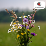 Mélange de Graines de Fleurs Sauvages – 100 grammes | Bon pour les Abeilles, Papillons & la Biodiversité | ± 30–50 m²