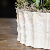 Kolibri Orchids | Gele Jungle Bouquet Botanic Yellow in Oyster Dish