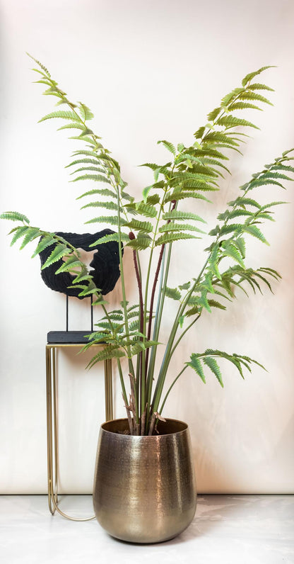 Kunstplant - Rumohra Adiantiformis - Ledervaren - 180 cm