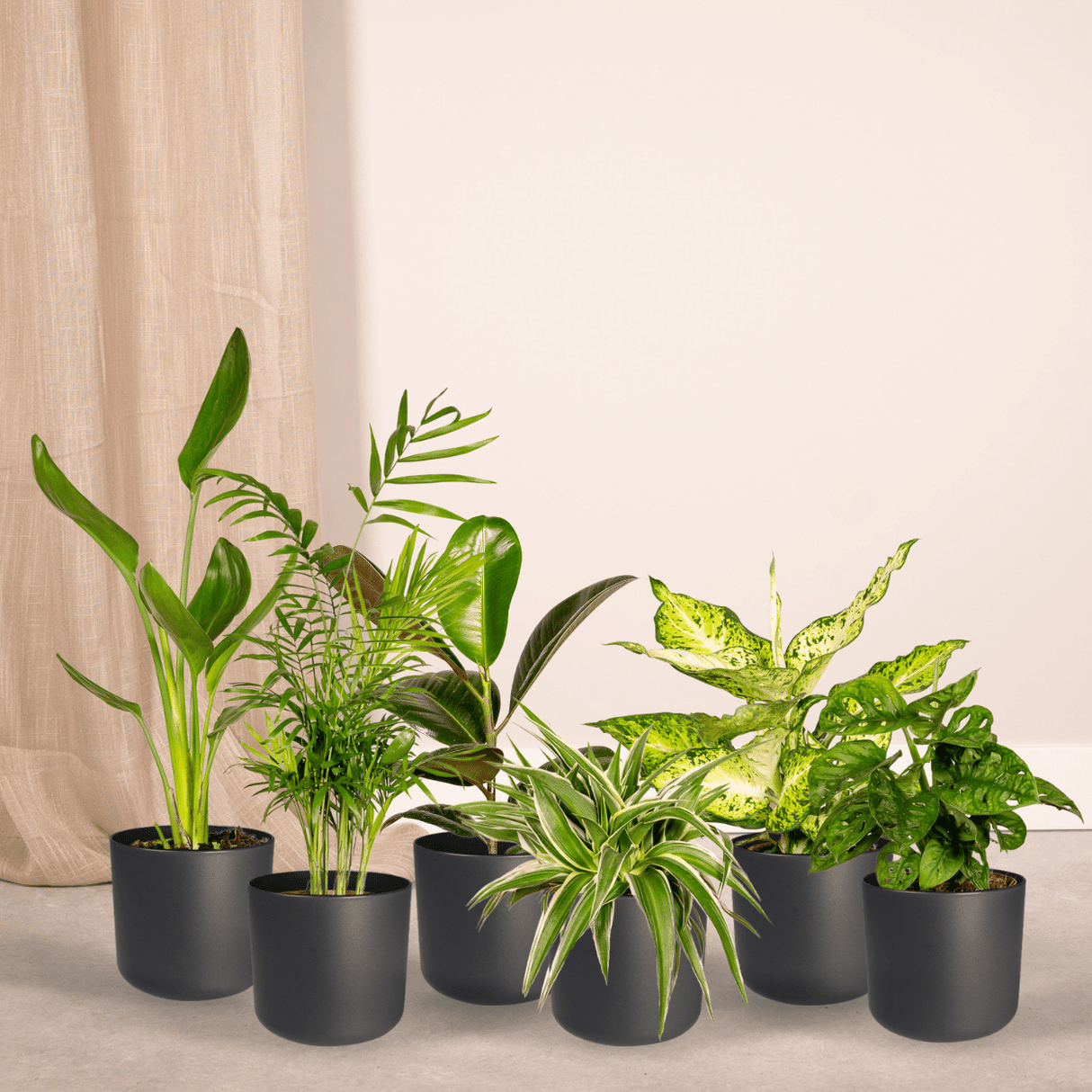 Verrassingsbox - ↕25cm - Ø12cm - x10