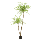 kunstplant - Sophora tree  - Honingboom - 190cm
