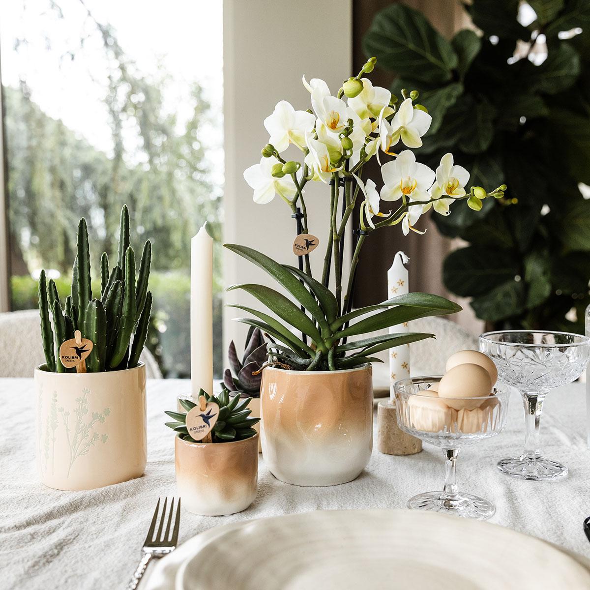 Kolibri Home | Floral bloempot - Light Blue - 9cm