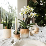 Kolibri Home | Floral bloempot - Light Blue - 9cm