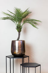Kunstpflanze - Chamaedorea - Bergpalme - 85 cm
