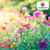 Mélange de Graines de Fleurs Sauvages – 100 grammes | Bon pour les Abeilles, Papillons & la Biodiversité | ± 30–50 m²