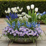 Green boutiQ - Bloembollen - Bulb Garden Blue mix - Diversen soorten - Kleur Blauw - 125 stuks - Gift Verpakking