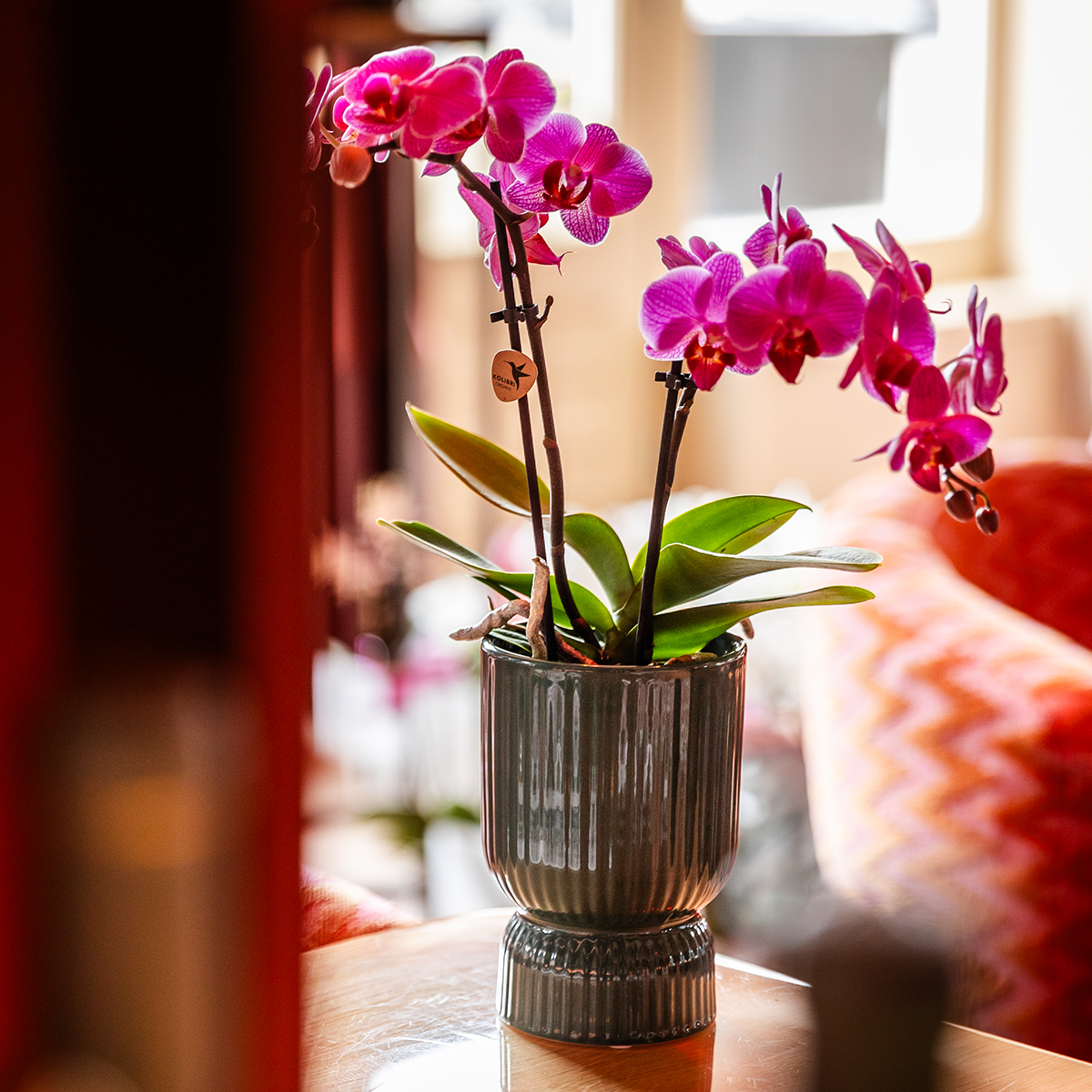 Kolibri Home | Pot décoratif Diabolo | Ø9cm - Vert