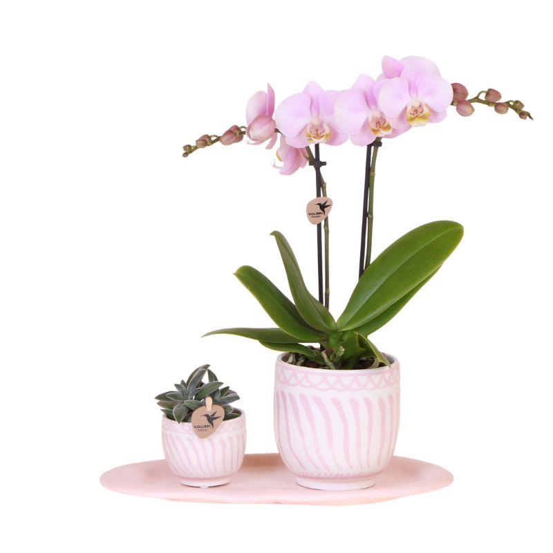 Kolibri Orchids | Gift set Granada roze | Groene plant met roze Phalaenopsis orchidee in Granada sierpotten op roze organisch dienblad