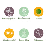 Green boutiQ - Terrasplant - Japanse Esdoorn - Acer palmatum Methamorphosa - Groen - 2 Planten - Bladverliezend - Pot 19cm Hoogte 70cm