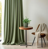 Phlebodium Blue Star - ↕32cm - Ø12cm