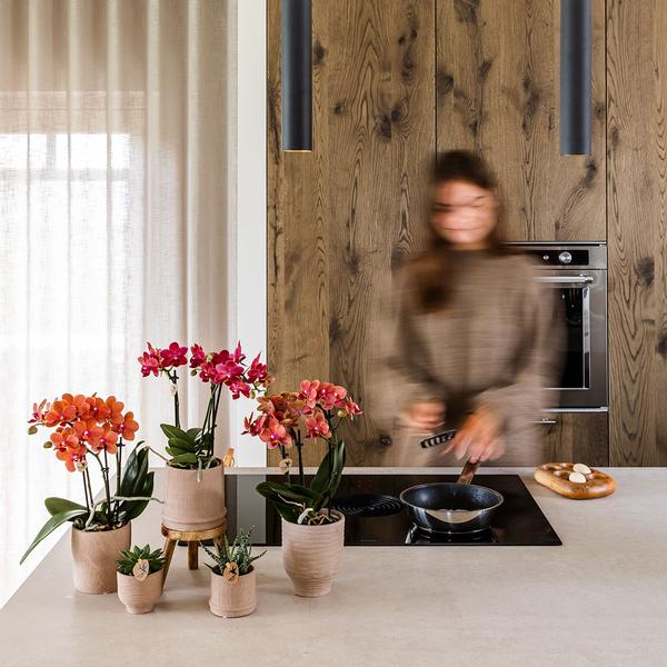 Bali sierpot  - Sand - Ø9cm