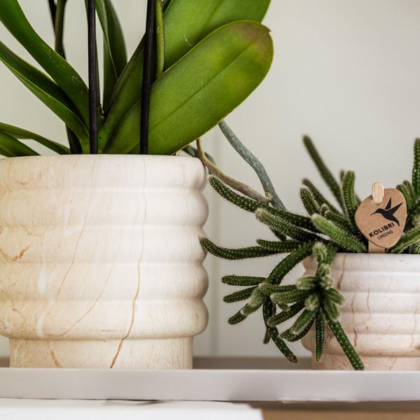 Combi deal - Pots Marble Light